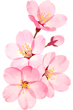 장식 요소