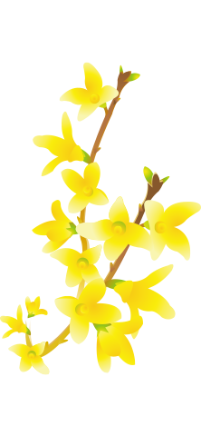 장식 요소