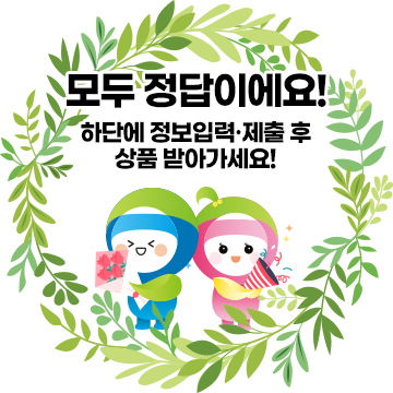 퀴즈 풀이 성공